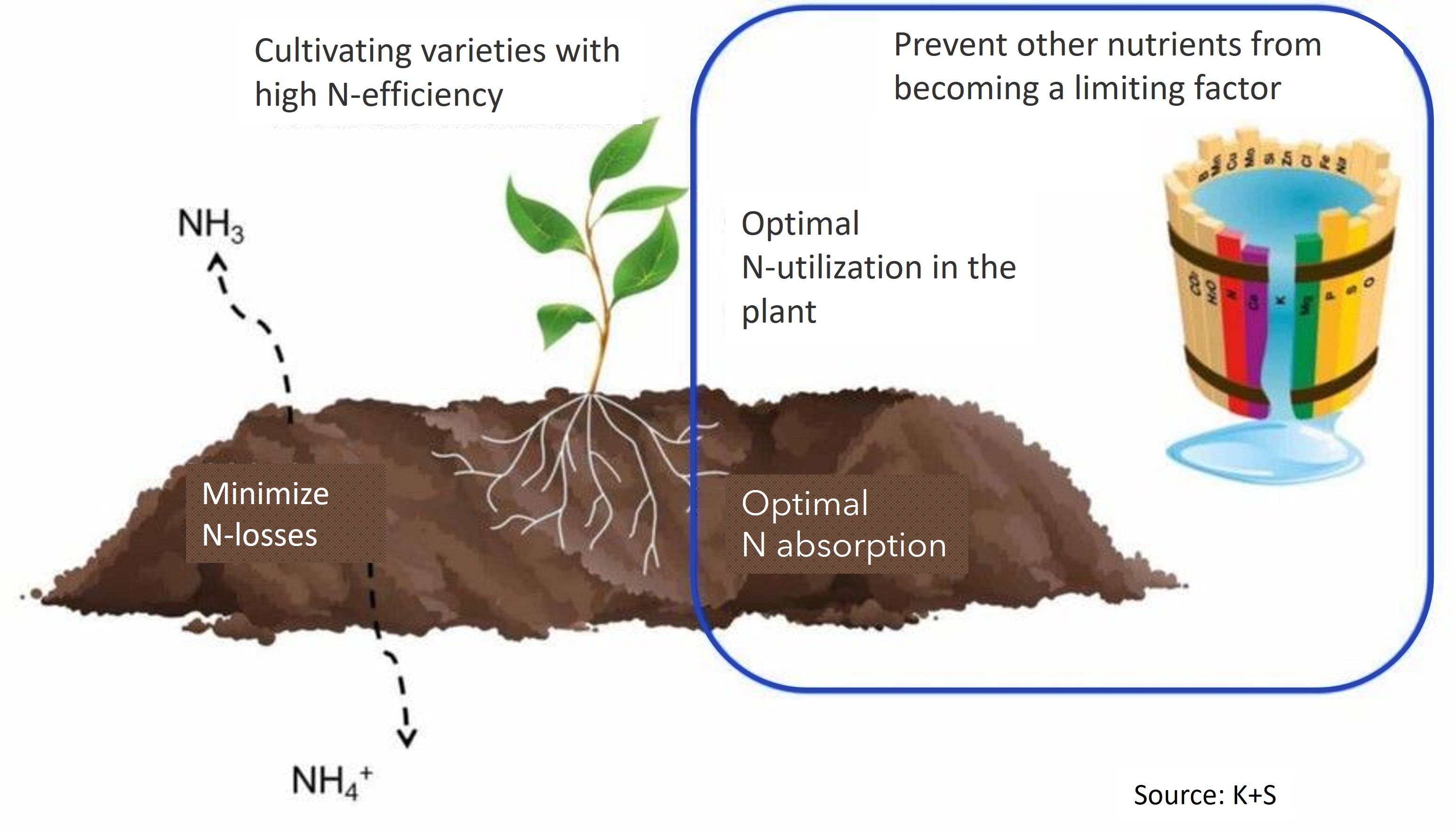 Nitrogen optimum use