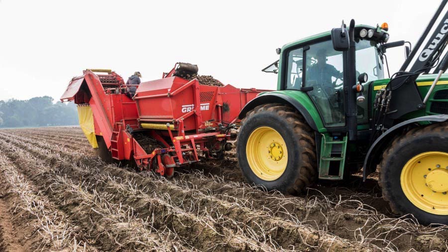 Potato harvest (16:9)