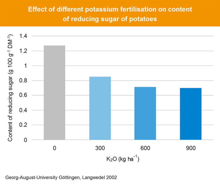 Effect of different potassium on potato