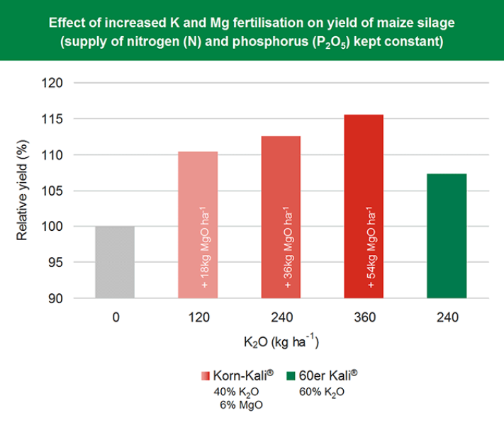 Effect of increased K Mg fertilisation on maize