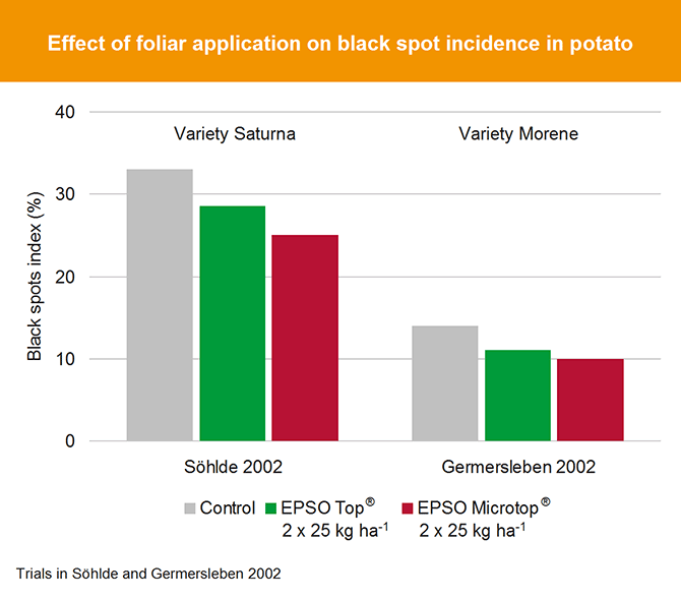 Effect on foliar application on potato